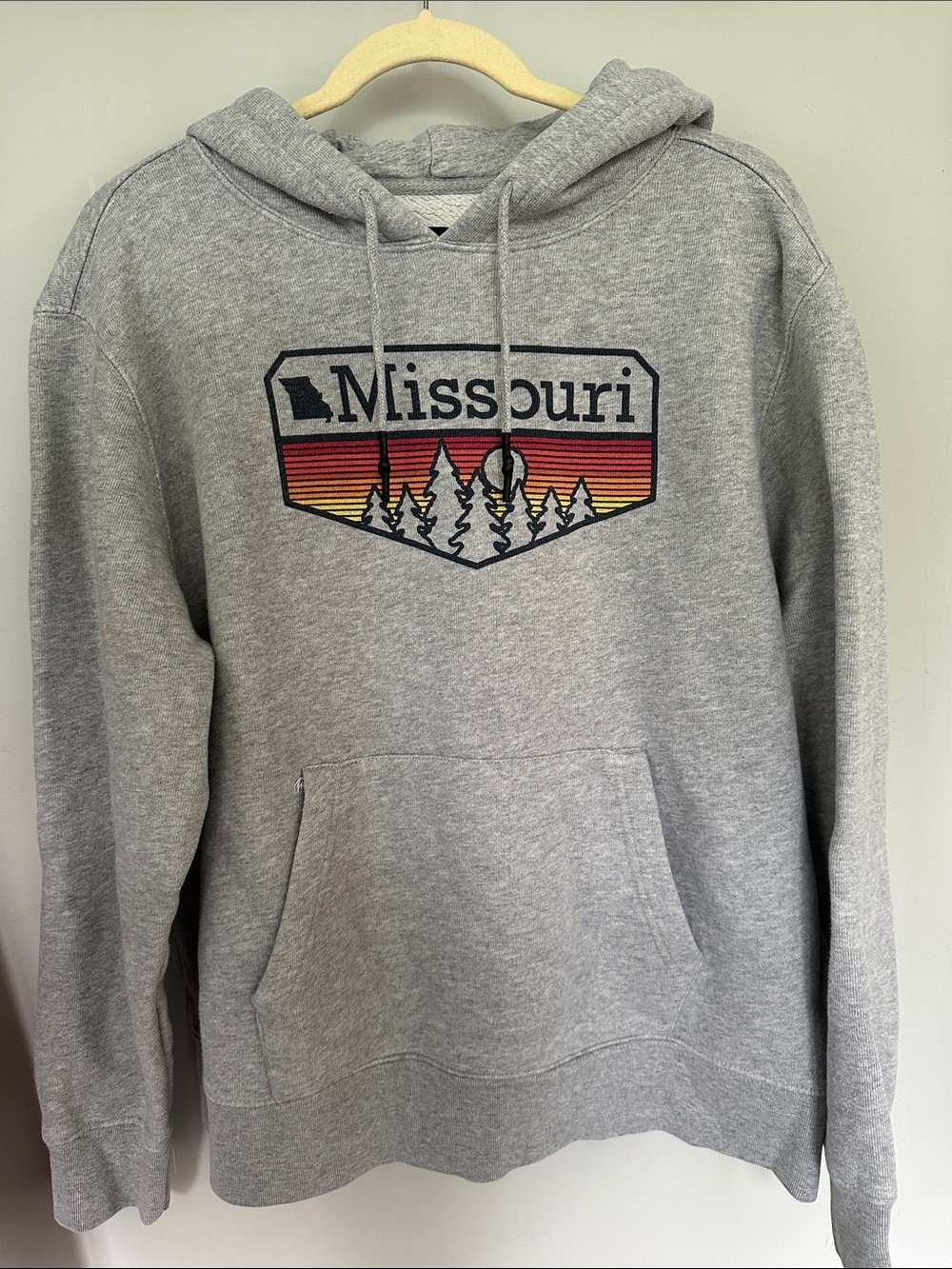 Missouri State of Mine Graphic Hooded Sweatshirt - Grey XL